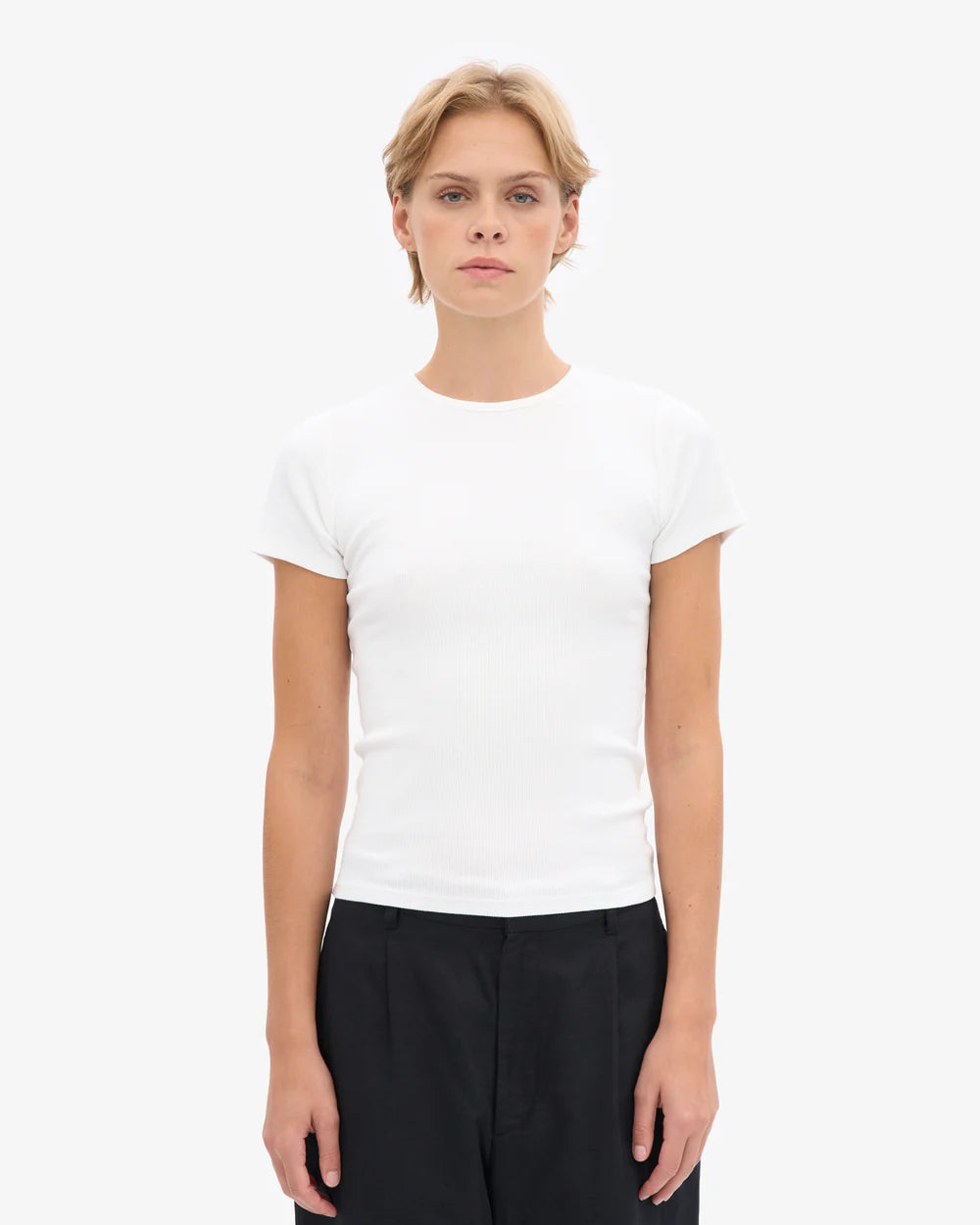 T-shirt côtelé en coton bio - Optical White (Organic Rib T-Shirt)
