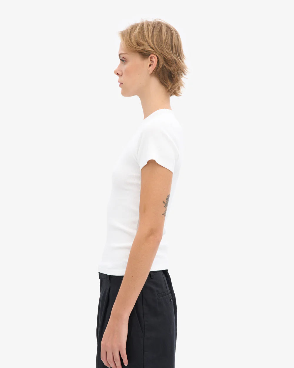 T-shirt côtelé en coton bio - Optical White (Organic Rib T-Shirt)