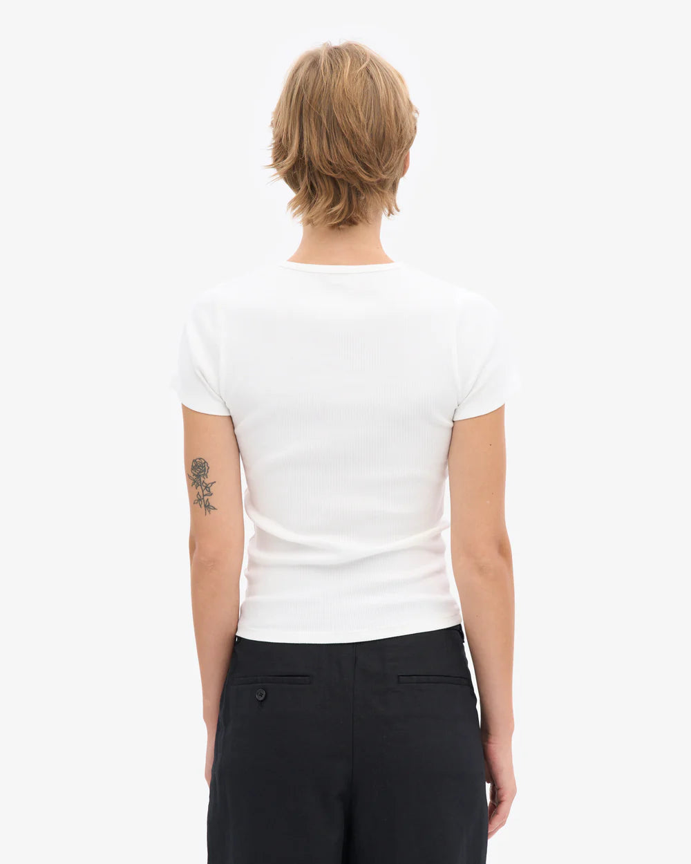 T-shirt côtelé en coton bio - Optical White (Organic Rib T-Shirt)