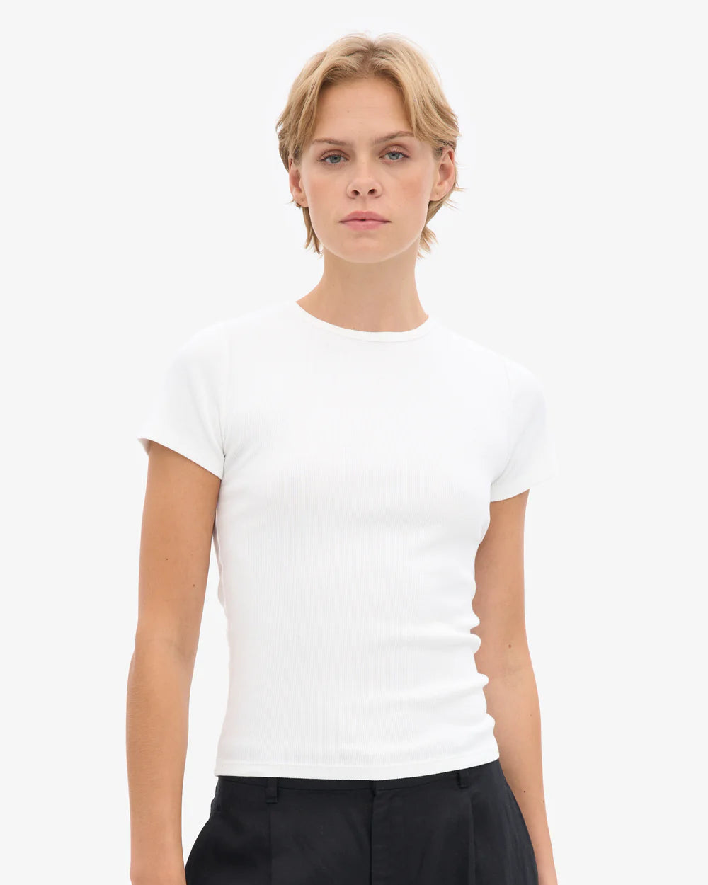 T-shirt côtelé en coton bio - Optical White (Organic Rib T-Shirt)